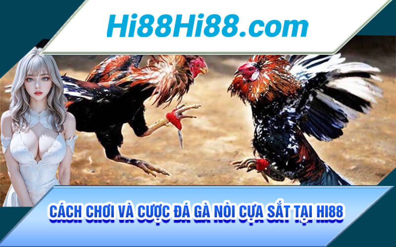 Đá Gà Nòi Cựa Sắt - Thể Loại Đá Gà Độc Đáo Chỉ Có Tại Hi88 3 Cách Chơi và Cược Đá Gà Nòi Cựa Sắt Tại Hi88