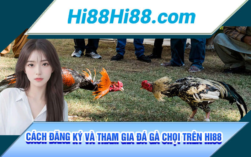Đá Gà Chọi - Luật Chơi Và Tuyệt Kĩ Của Sư Kê Tại Hi88 3 Cách đăng ký và tham gia đá gà chọi trên Hi88