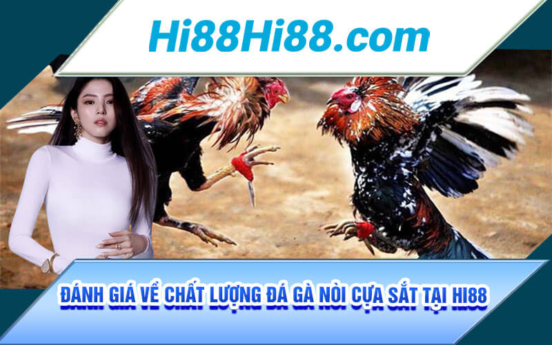 Đá Gà Nòi Cựa Sắt - Thể Loại Đá Gà Độc Đáo Chỉ Có Tại Hi88 4 Đánh Giá Về Chất Lượng Đá Gà Nòi Cựa Sắt Tại Hi88