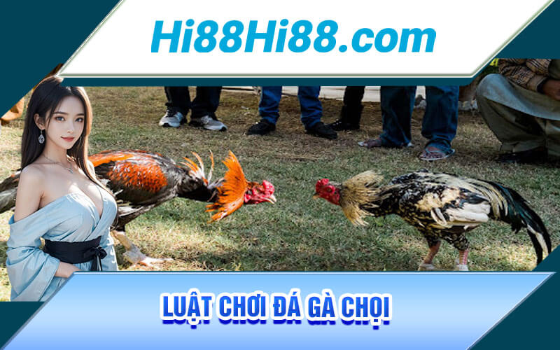 Đá Gà Chọi - Luật Chơi Và Tuyệt Kĩ Của Sư Kê Tại Hi88 2 Luật chơi Đá Gà Chọi
