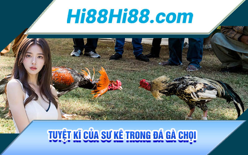 Đá Gà Chọi - Luật Chơi Và Tuyệt Kĩ Của Sư Kê Tại Hi88 4 Tuyệt kĩ của Sư Kê trong Đá Gà Chọi